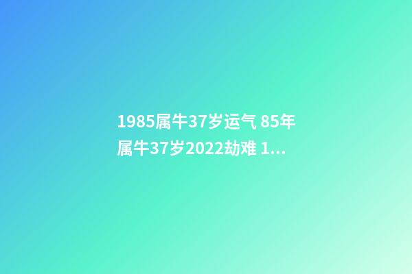 1985属牛37岁运气 85年属牛37岁2022劫难 1985属牛的一生命运-第1张-观点-玄机派